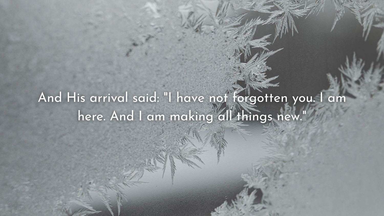 The Gift of Hope: What the Manger Means for Our Future