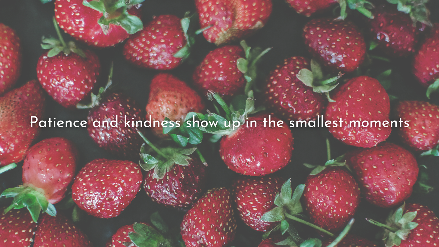 Fruit in Real Life: Patience + Kindness