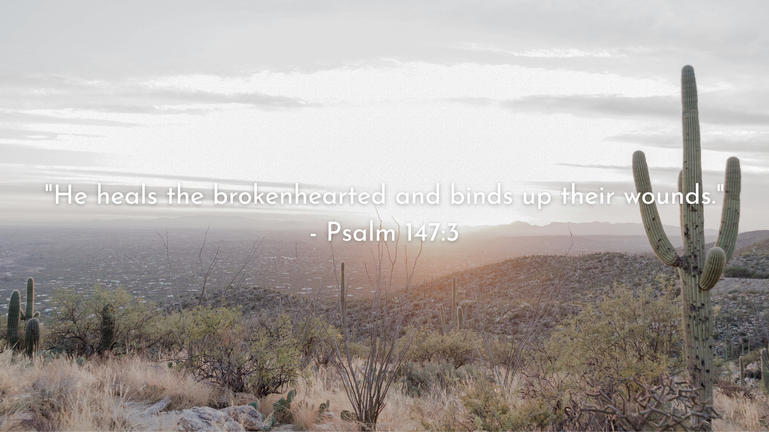 Hope When Loss Overwhelms