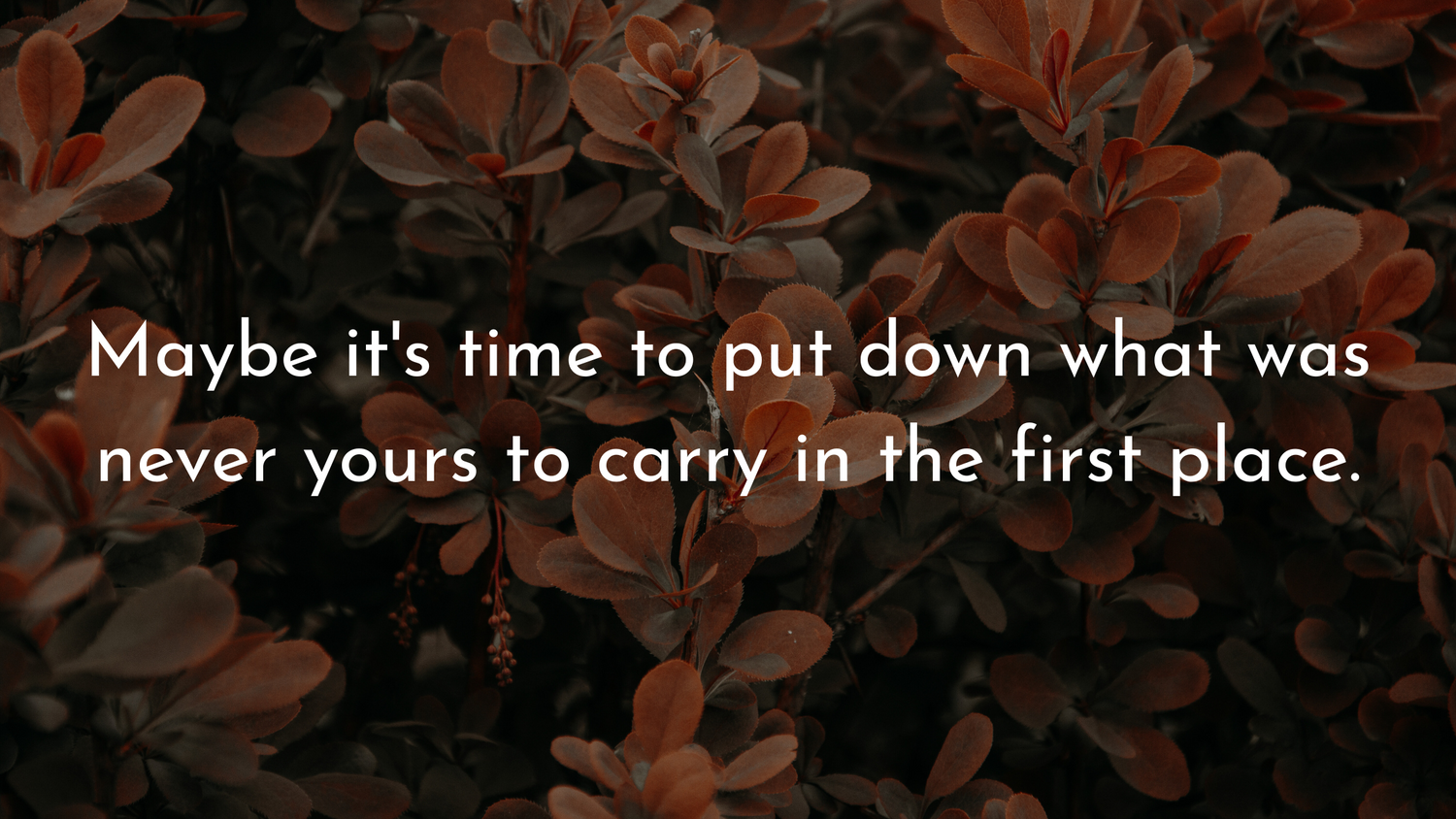 Finding Peace in the Process