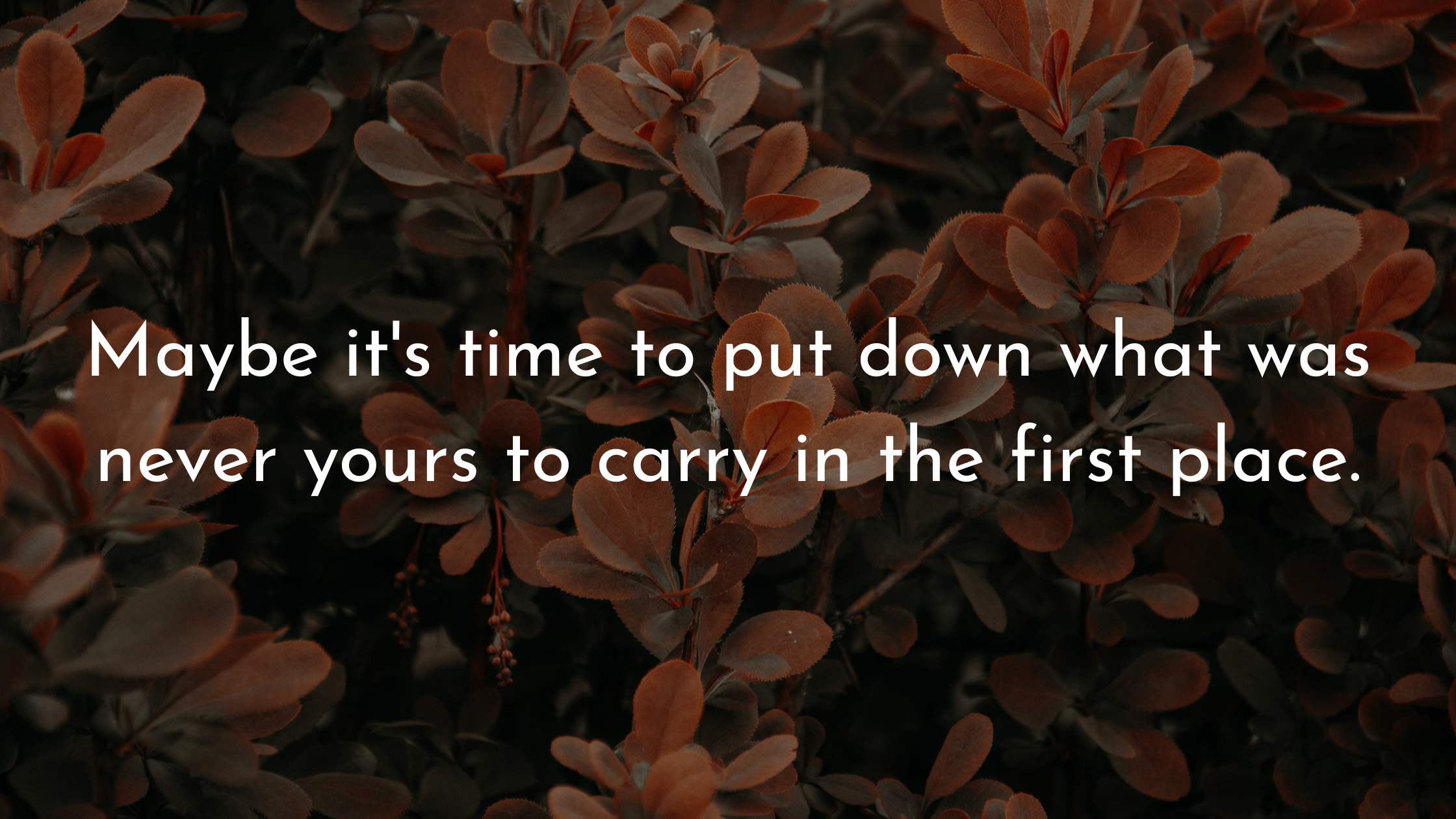 Finding Peace in the Process